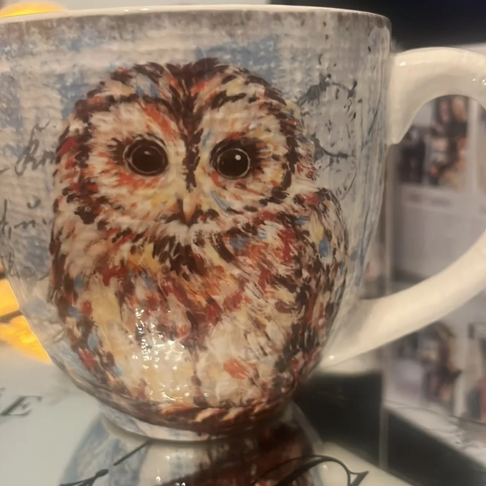 Extra Large Vintage Owl Mug Pier 1 Imports Ironstone Mug